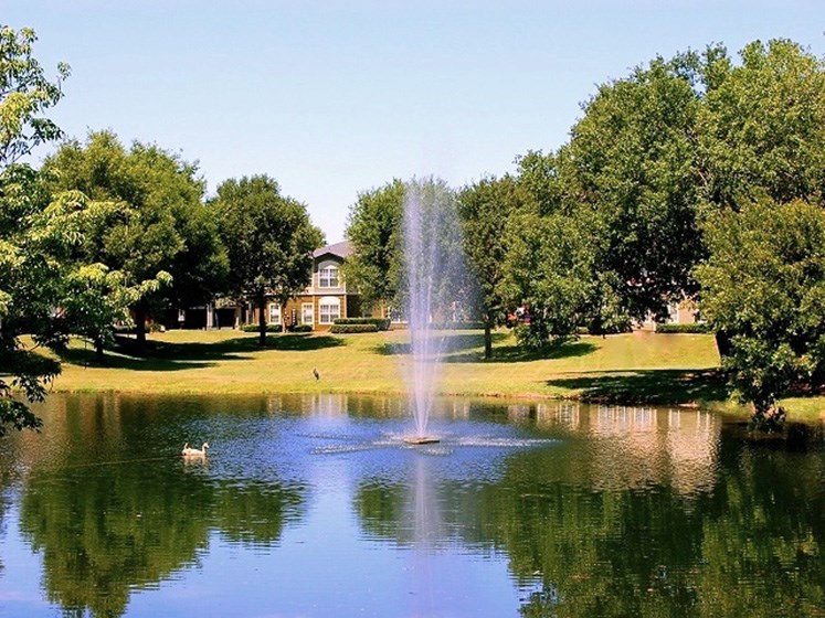 Trees with Fountain 