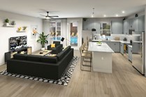 Living and Kitchen