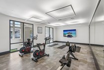 Yoga and Cycling Room