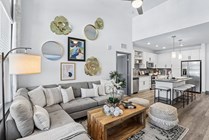 Living / Kitchen Space