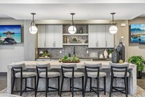 Resident Community Kitchen for Entertaining
