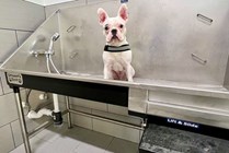 Pet Wash Station