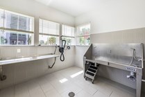 Pet Wash Room