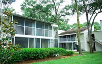 Photo of Goldelm at Charter Pointe