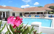 Make New Friends Poolside! 