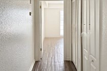 Photo #4