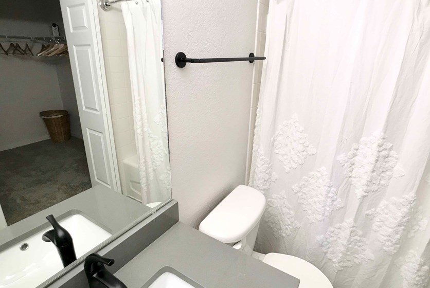 Furnished Apartment Apartment Bathroom