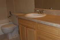 Bathroom with Vanity Sink