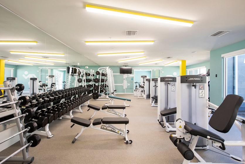 Apartment Gym Apartment Gym Weight Room Section